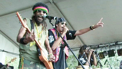 Rainforest Reggae