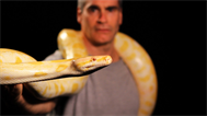 play [Snake Underworld With Henry Rollins]