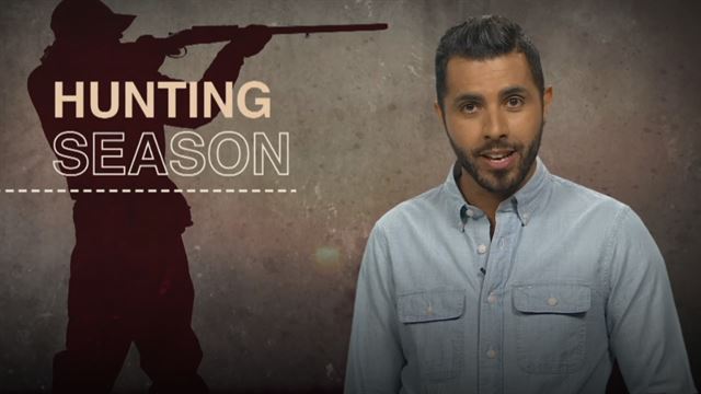 The Feed Summer Special: Hunting Season