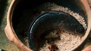 Mud fish smoked with cassia bark and star anise recipe