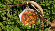 Chicken coconut soup recipe