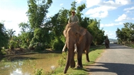 Global Village Ep2157 - A Mnong Child